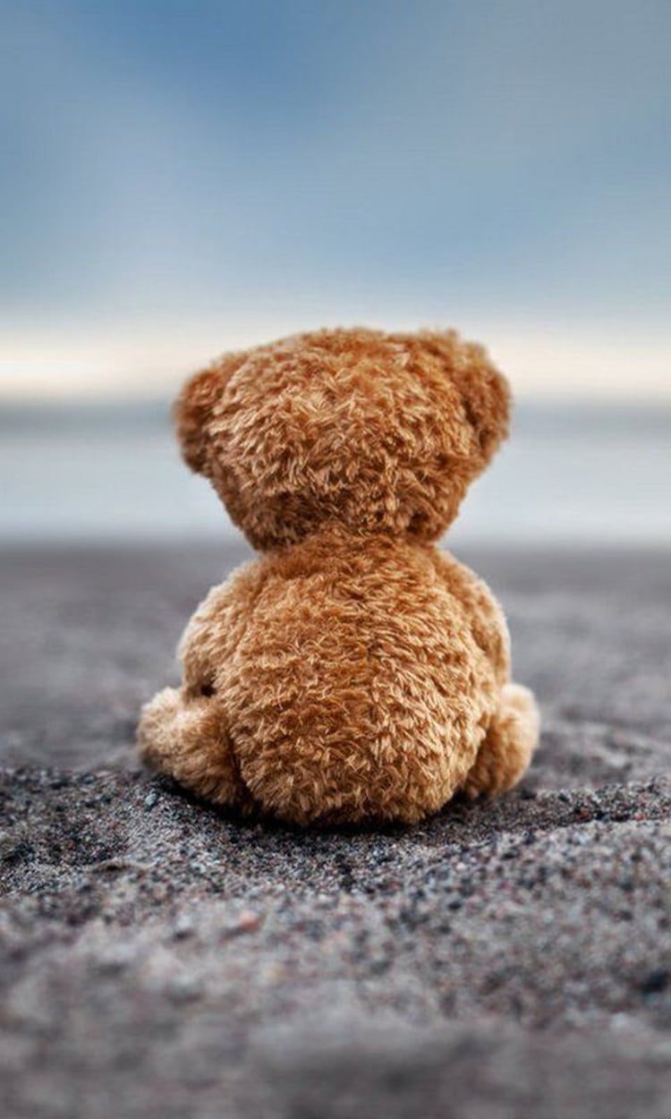 Chi tiết 56+ về hình nền gấu teddy mới nhất - cdgdbentre.edu.vn